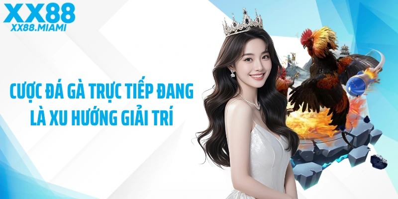 Cược đá gà trực tiếp đang là xu hướng giải trí
