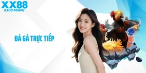 Đá Gà Trực Tiếp Tại XX88 - Trải Nghiệm Sắc Nét Và Kịch Tính