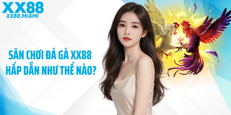 Sân chơi đá gà XX88 hấp dẫn như thế nào?