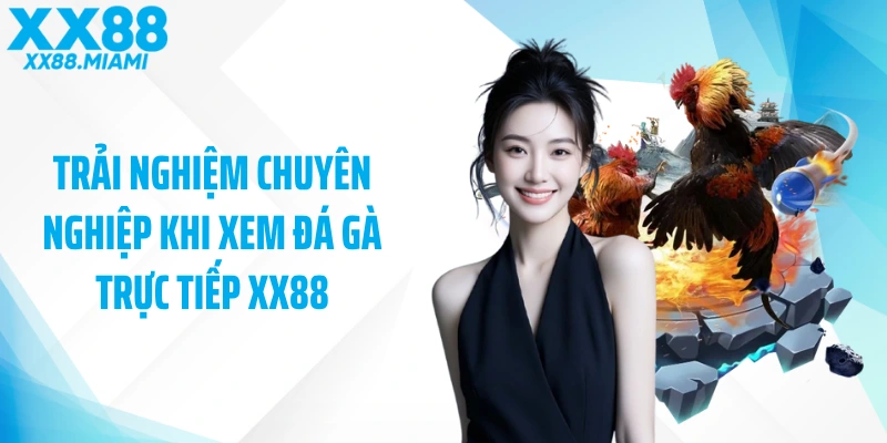 Trải nghiệm chuyên nghiệp khi xem đá gà trực tiếp XX88